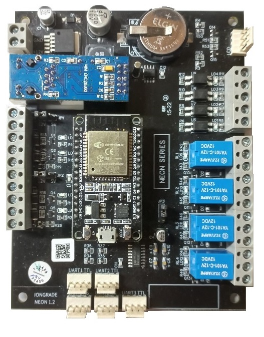 Foto da placa do módulo de I/O IRIDIUM (vista geral, identificando bornes e conectores principais)