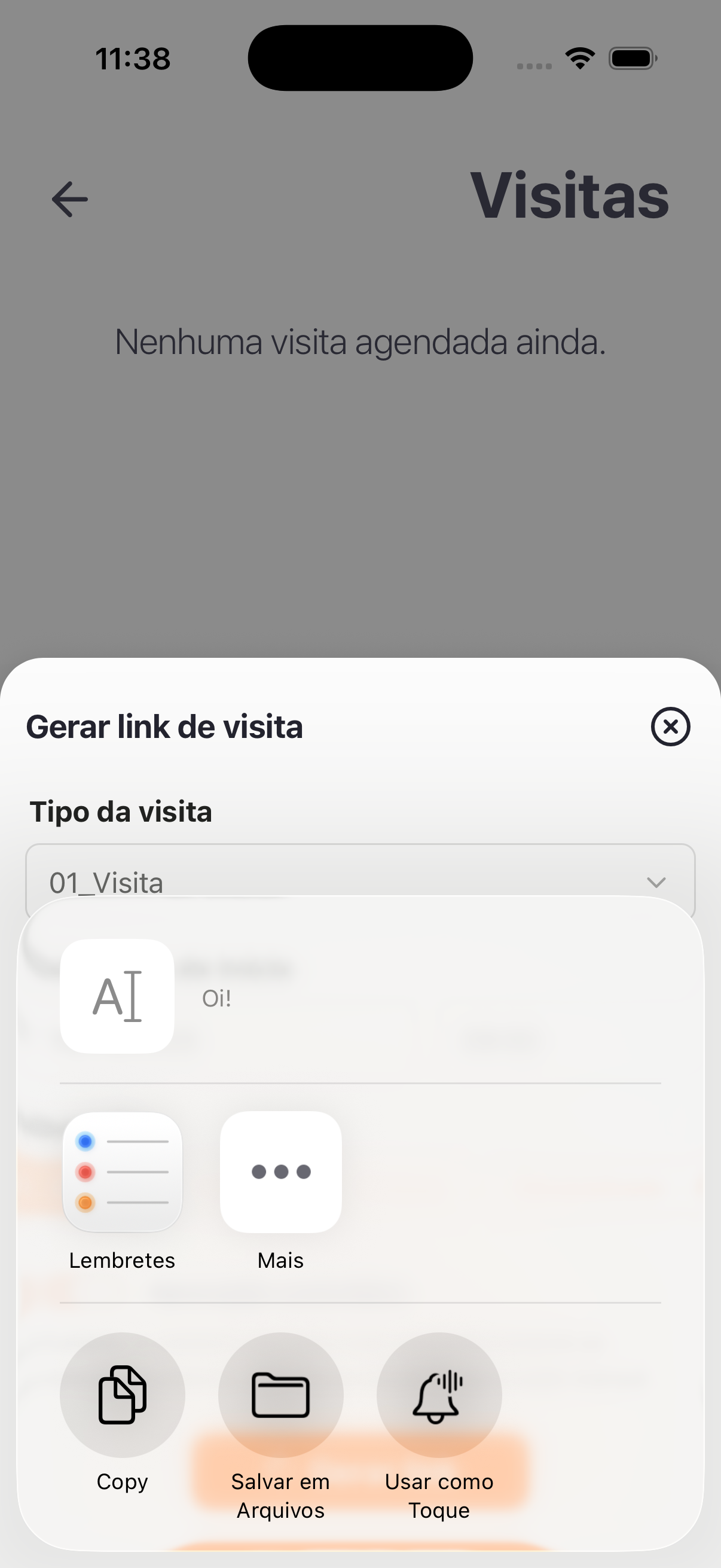Ao gerar, abre o compartilhamento nativo do celular para enviar o link ao visitante.